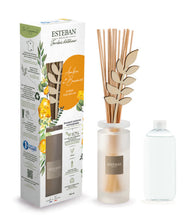 Ambre et Baume Bukiet Zapachowy od Esteban