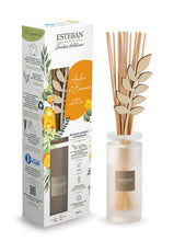 Ambre et Baume Bukiet Zapachowy od Esteban