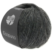 ECOPUNO