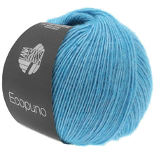ECOPUNO