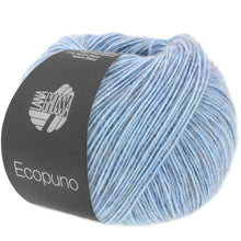 ECOPUNO
