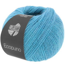 ECOPUNO