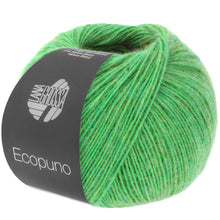 ECOPUNO