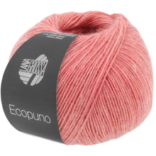 ECOPUNO