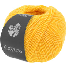 ECOPUNO