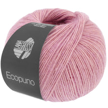 ECOPUNO