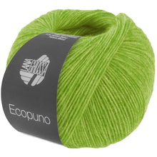 ECOPUNO