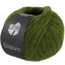 ECOPUNO