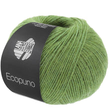 ECOPUNO