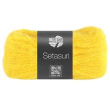 SETASURI