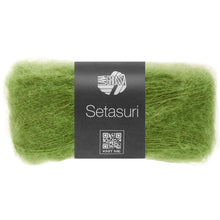 SETASURI