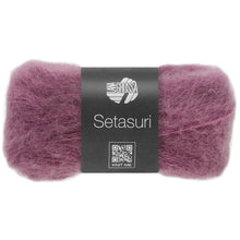 SETASURI