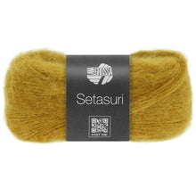 SETASURI